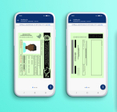 An illustration of the front and back of a digital drivers license on an iPhone.