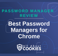 A blue background with images of locks and shields with the text &quot;Best Password Managers for Chrome&quot; and the All About Cookies logo. 