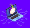 An illustration of an onion on a computer to represent Onion over VPN
