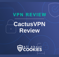 A blue background with images of locks and shields and the text &quot;CactusVPN Review&quot;