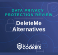 A blue background with images of locks and shields and the text &quot;DeleteMe Alternatives&quot;