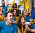 Fans watching a sports game