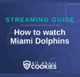 How to watch Miami Dolphins