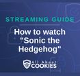 A blue background with images of locks and shields and the text &quot;Streaming Guide: How to watch &#x27;Sonic the Hedgehog&#x27;&quot;