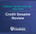 A blue background with images of locks and shields and the text &quot;Credit Sesame Review&quot;