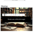 WordPress edit page for All About Cookies test website 