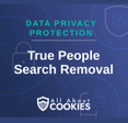 A blue background with images of locks and shields and the text &quot;True People Search Removal&quot;