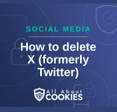 A blue background with images of locks and shields and the text &quot;How to delete X (formerly Twitter)&quot;