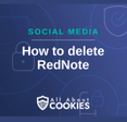 A blue background with images of locks and shields and the text &quot;How to delete RedNote&quot;