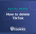 A blue background with images of locks and shields and the text &quot;How to delete TikTok&quot;