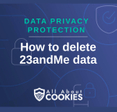 A blue background with images of locks and shields and the text &quot;How to delete 23andMe data&quot;