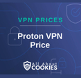A blue background with images of locks and shields and the text &quot;Proton VPN Price&quot;
