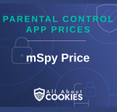 A blue background with images of locks and shields and the text "Parental Control App PricesL mSpy Price"