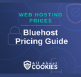 Bluehost pricing guide