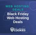 A blue background with images of locks and shields and the text &quot;Black Friday Web Hosting Deals&quot;