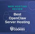 A blue background with locks and the text "Best OpenClaw Server Hosting"