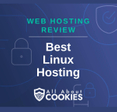 A blue background with locks and the text "Best Linux Hosting"
