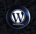 Large WordPress logo framed by black and navy and gray circular record-like design