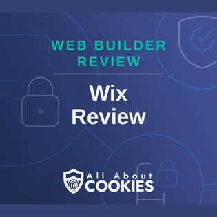 A blue background with images of locks and shields and the text &quot;Web Builder Review: Wix Review&quot;