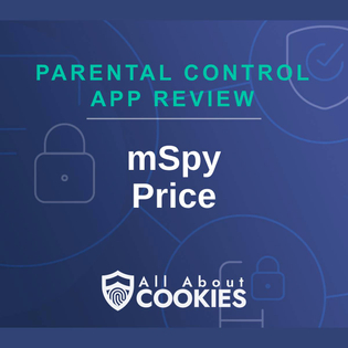 A blue background with images of locks and shields and the text "mSpy Price"