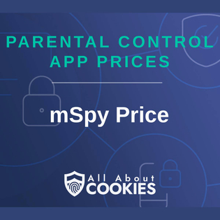 A blue background with images of locks and shields and the text "Parental Control App PricesL mSpy Price"