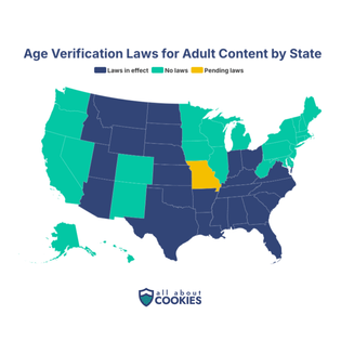 Map of States Where Age Verification Laws Are In Place