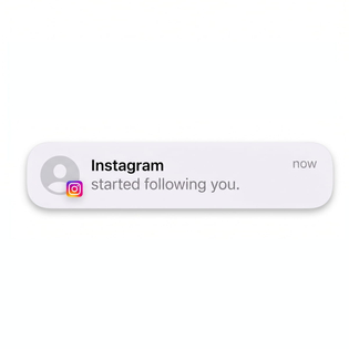 Notification showing that Instagram has started following you.