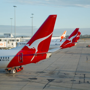 Qantas airplanes lined up at the airport.