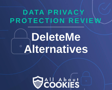 A blue background with images of locks and shields and the text &quot;DeleteMe Alternatives&quot;
