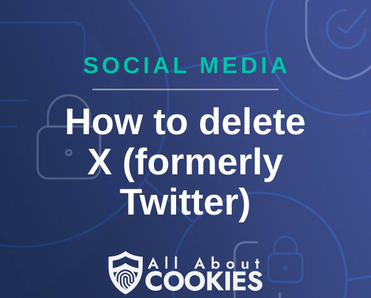 A blue background with images of locks and shields and the text &quot;How to delete X (formerly Twitter)&quot;
