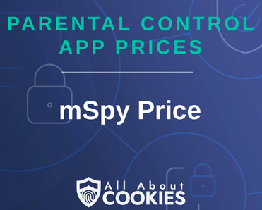 A blue background with images of locks and shields and the text "Parental Control App PricesL mSpy Price"