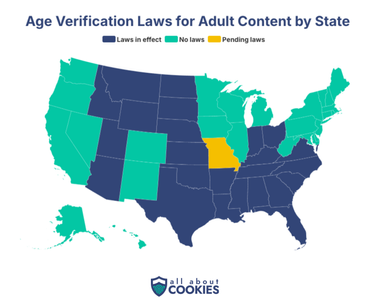 Map of States Where Age Verification Laws Are In Place