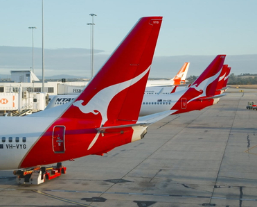 Qantas airplanes lined up at the airport.