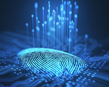 Digital fingerprint integrated on a printed circuit releasing binary code