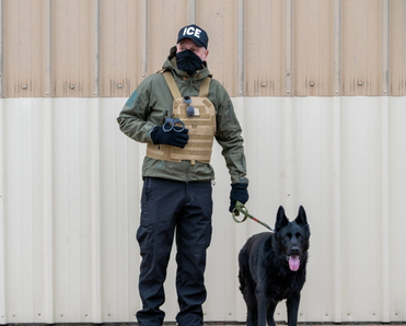n Immigration and Customs Enforcement (ICE) officer and a black German Shepherd conduct surveillance.