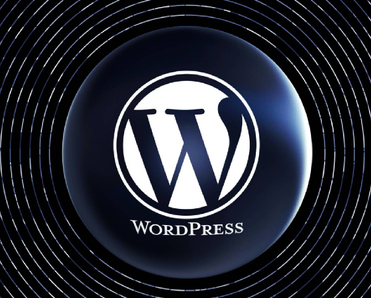 Large WordPress logo framed by black and navy and gray circular record-like design