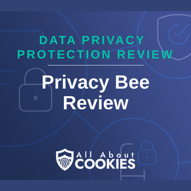 A blue background with images of locks and shields with the text &quot;Privacy Bee Review&quot; and the All About Cookies logo. 