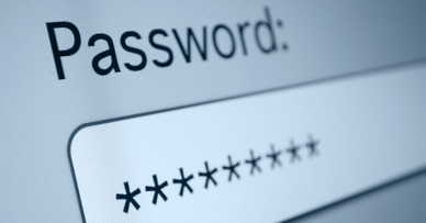 The password field on a website. 