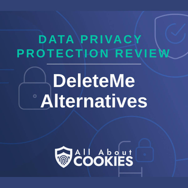 A blue background with images of locks and shields and the text &quot;DeleteMe Alternatives&quot;