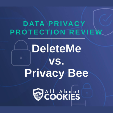 A blue background with images of locks and shields and the text &quot;DeleteMe vs. Privacy Bee&quot;