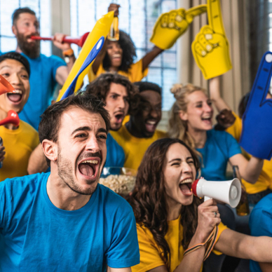 Fans watching a sports game