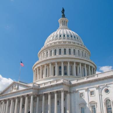 The United States Capitol Building in Washington, DC.