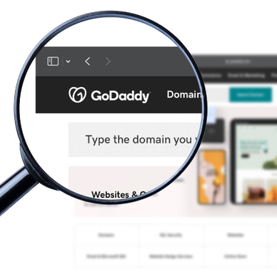 GoDaddy logo on the homepage under a magnifying glass