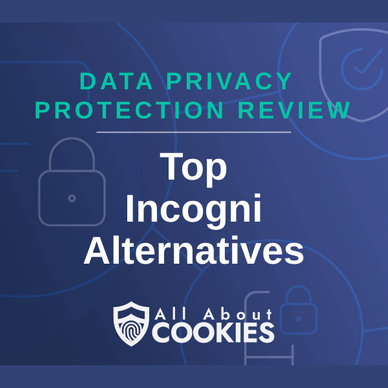 A blue background with locks and the text "Top Incogni Alternatives"
