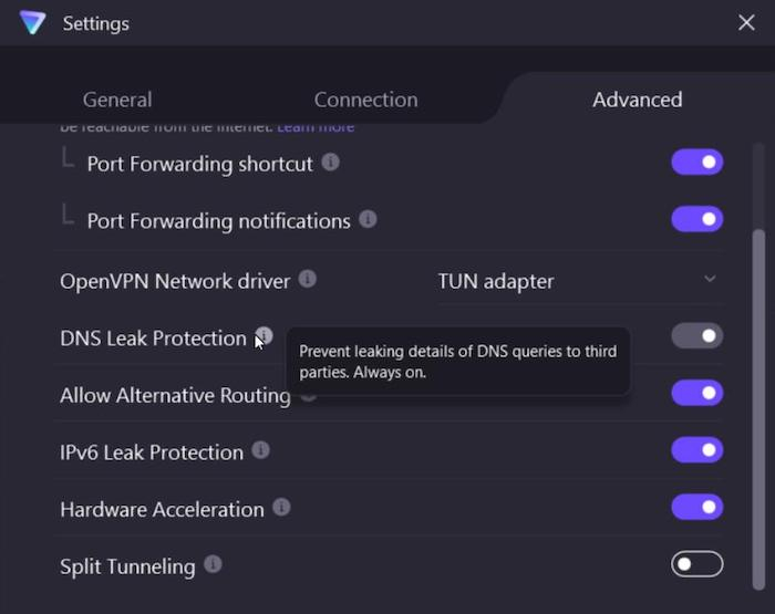 A good VPN doesn't come with DNS leaks, and Proton VPN offers full-time DNS leak protection to keep your data secure.