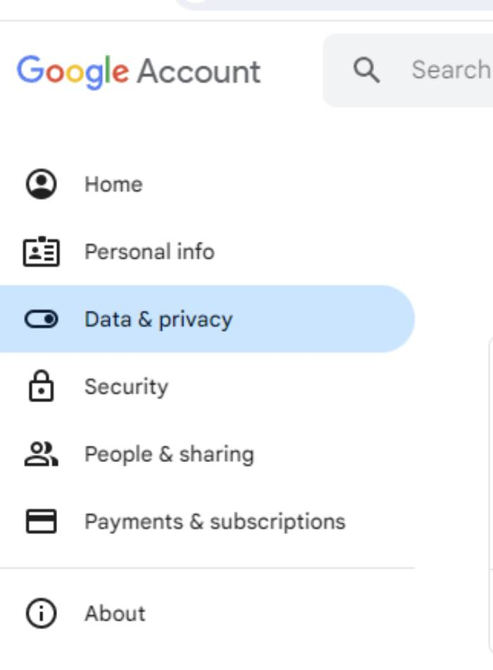 A screenshot of Google's Data & privacy setting