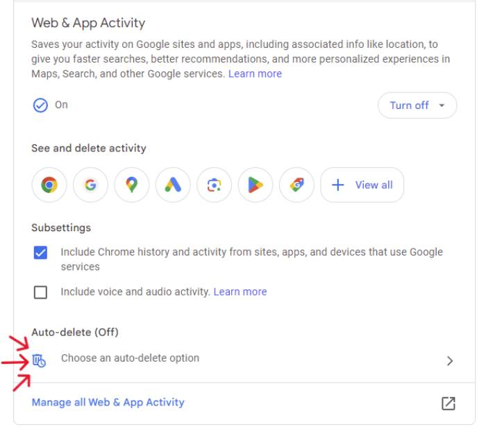 A screenshot of Google's Web and App Activity page