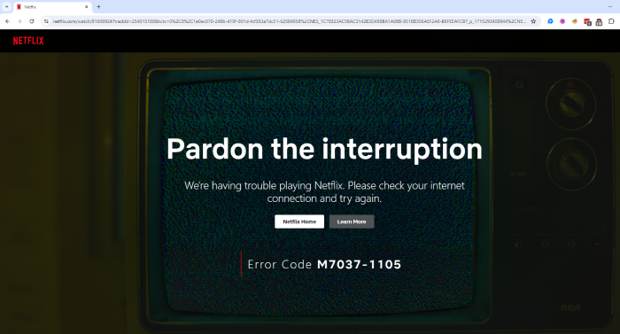 Netflix error page.