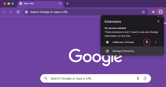 We pinned the AdBlocker Ultimate extension to our Chrome browser.