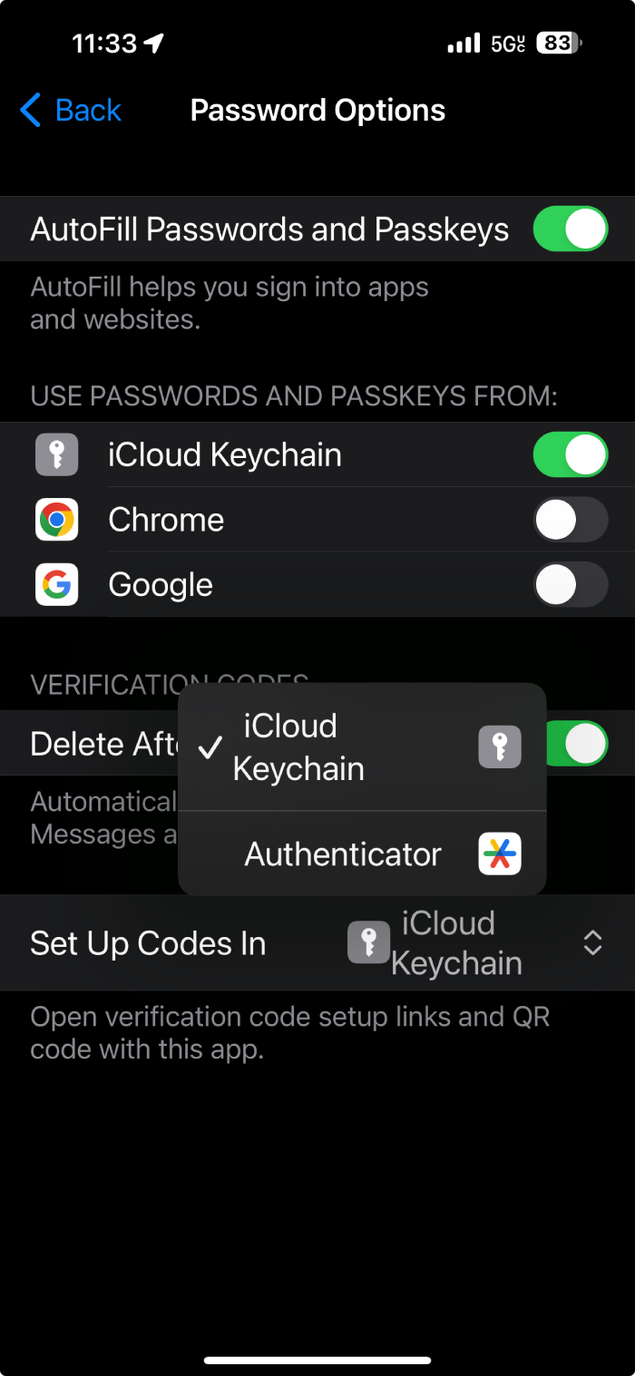 Apple's current authentication code settings
